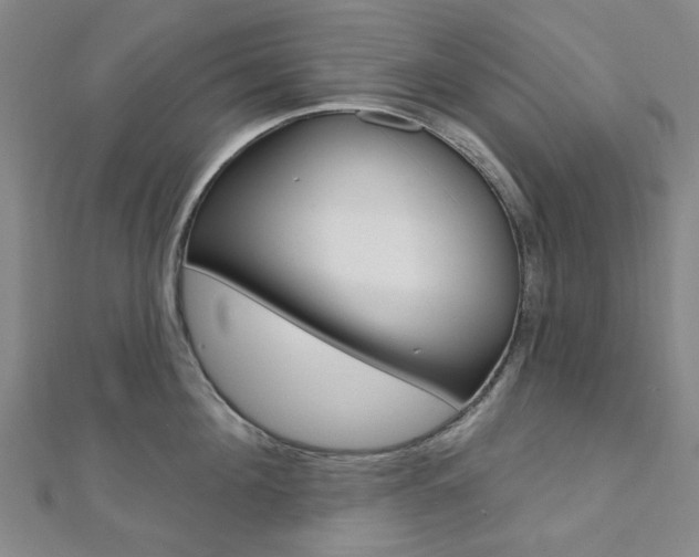 X0000112060908200908041008