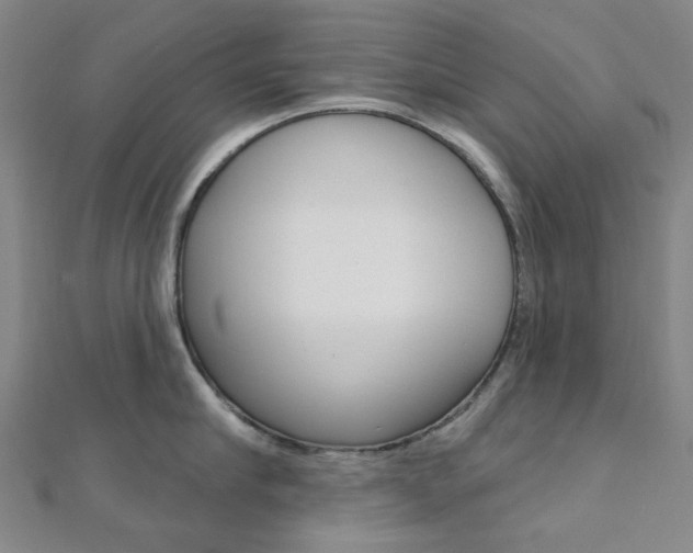 X0000112060910200908041008