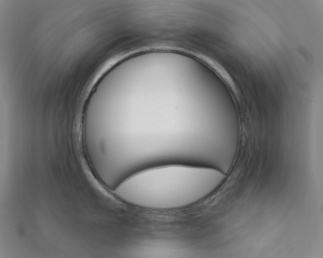 X0000112060911200908041008