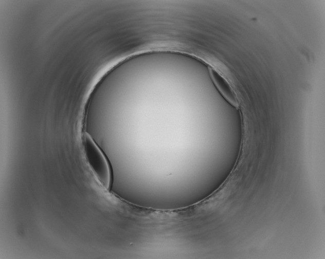 X0000112060912200908041008