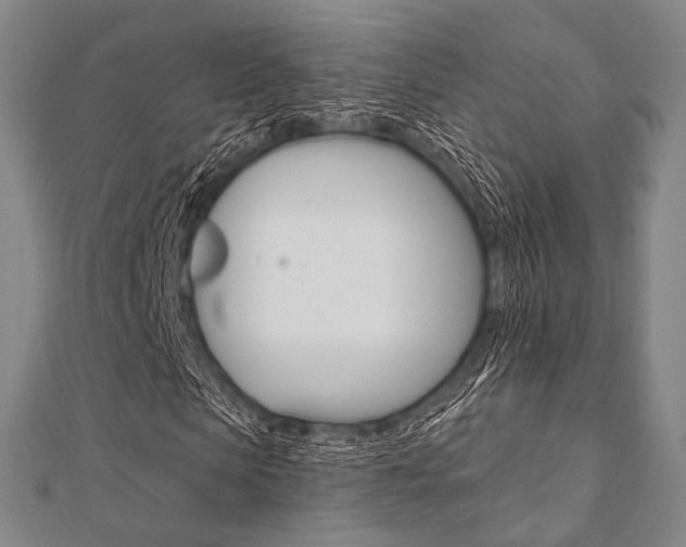 X0000112060913200908041007