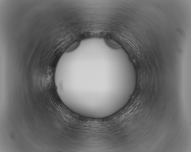 X0000112060914200908041007