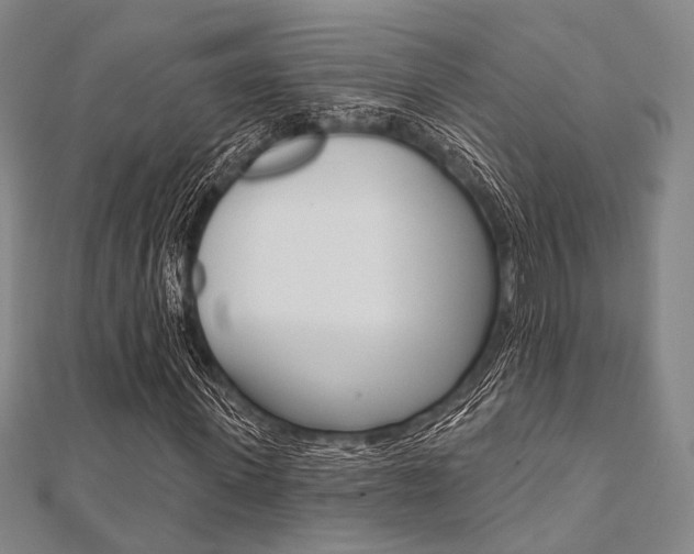 X0000112060915200908041007