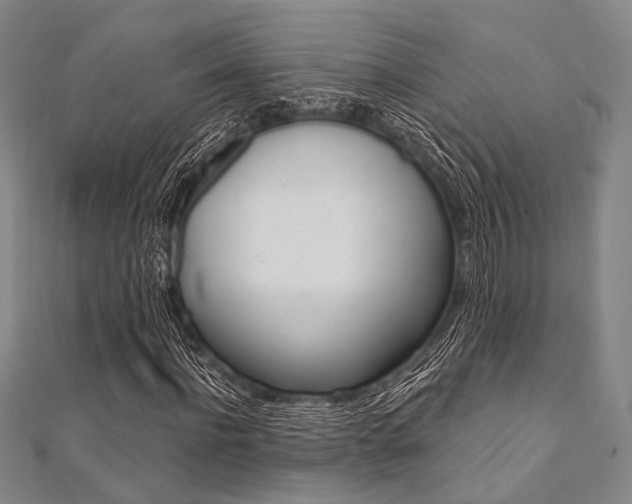 X0000112060916200908041007