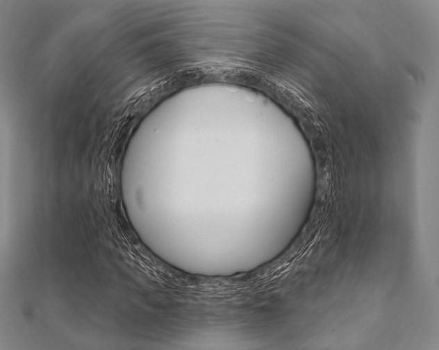 X0000112060917200908041007