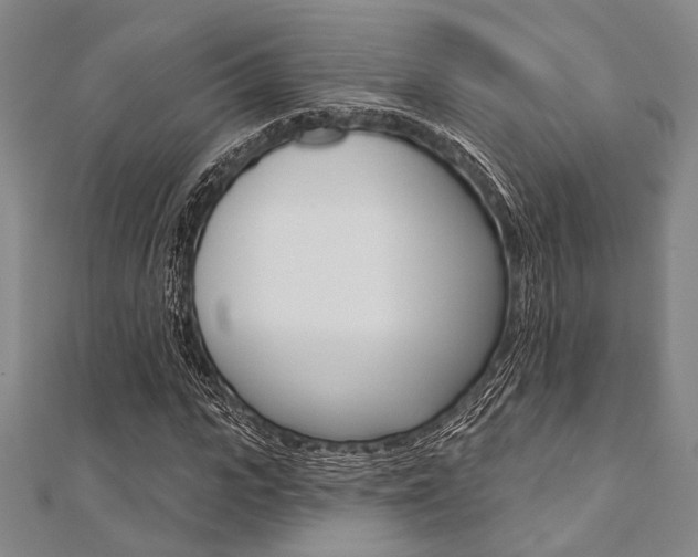 X0000112060919200908041007