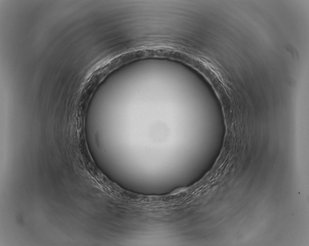 X0000112060920200908041007