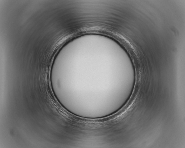 X0000112060921200908041007