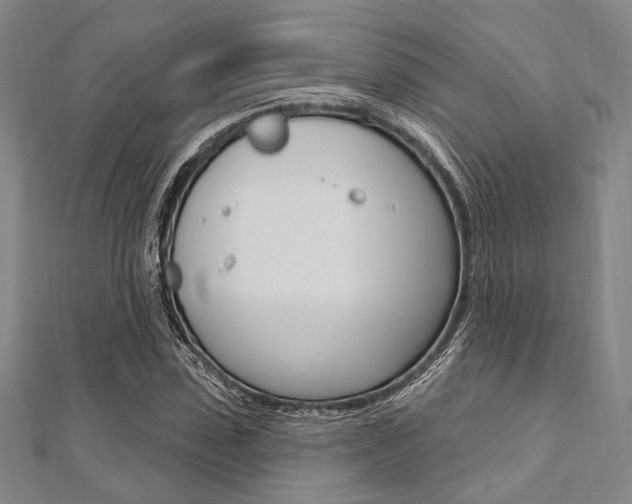 X0000112060923200908041007