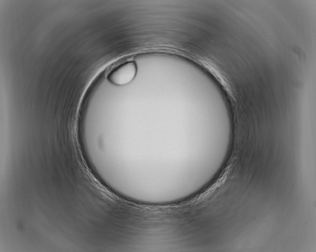 X0000112060924200908041007