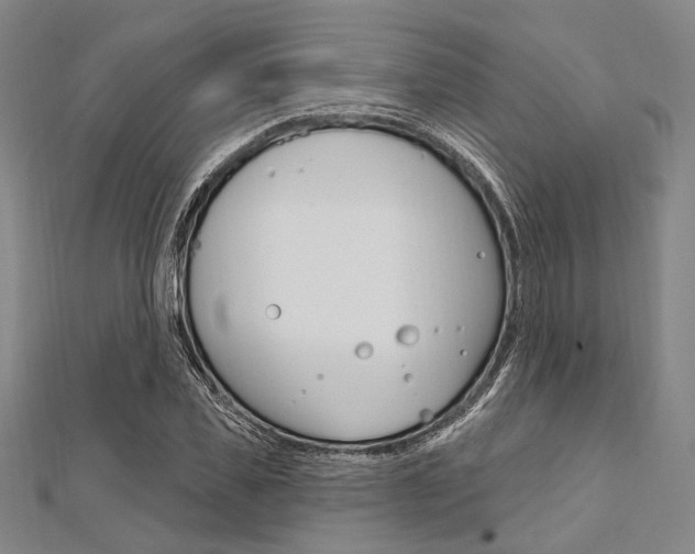 X0000112060925200908041007
