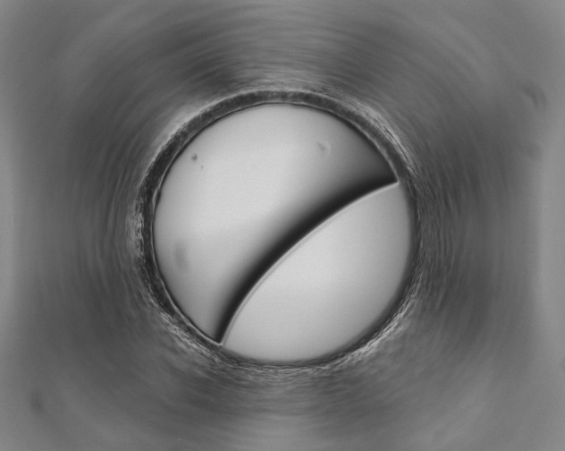 X0000112060926200908041007
