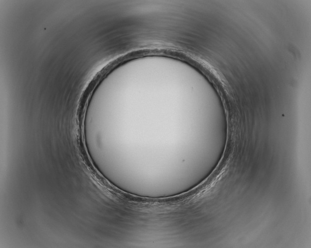 X0000112060927200908041007