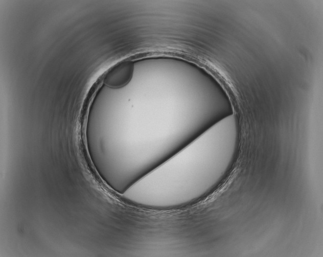X0000112060928200908041007