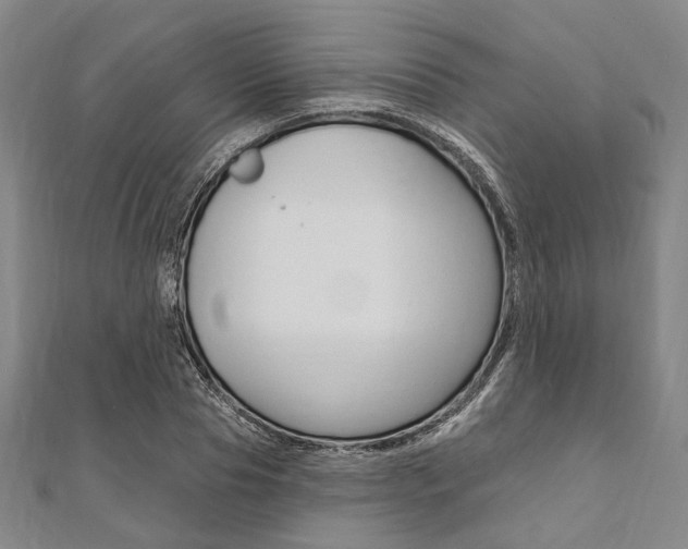 X0000112060929200908041007