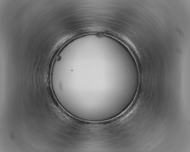 X0000112060930200908041007