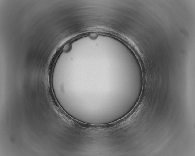 X0000112060931200908041008