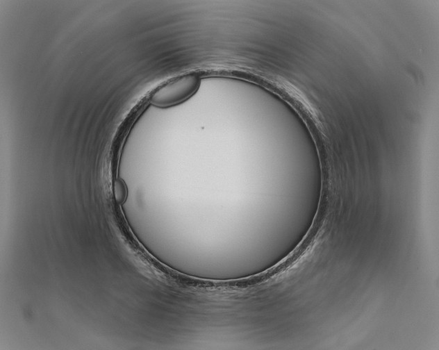 X0000112060934200908041008
