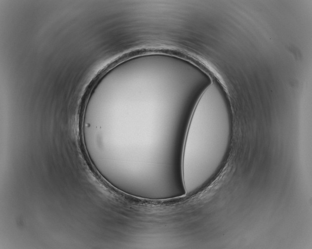 X0000112060935200908041008