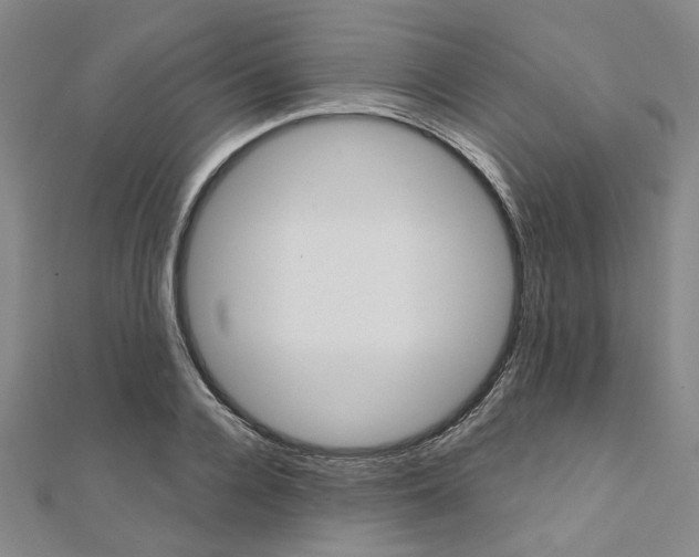 X0000112060936200908041008