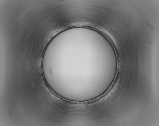 X0000112060937200908041008