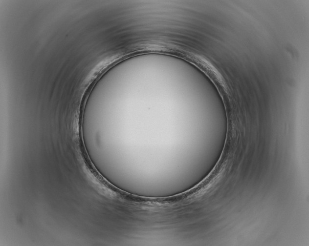 X0000112060938200908041008