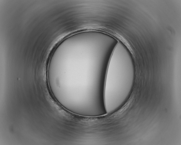 X0000112060939200908041008