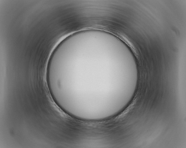 X0000112060940200908041008