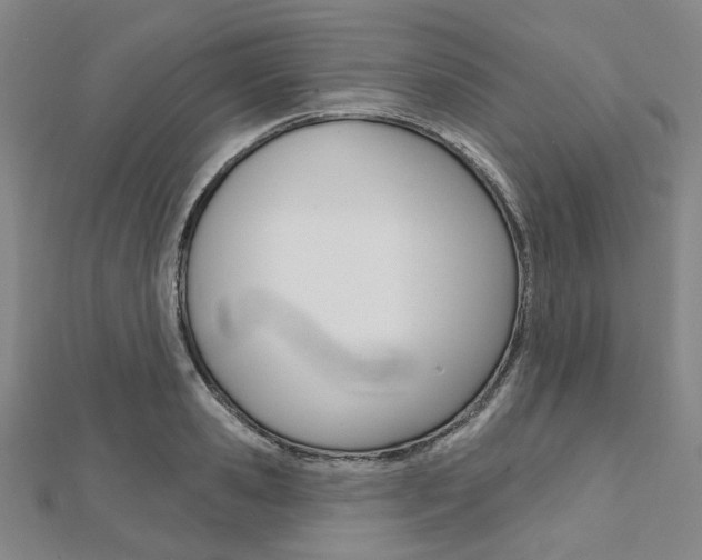 X0000112060941200908041008
