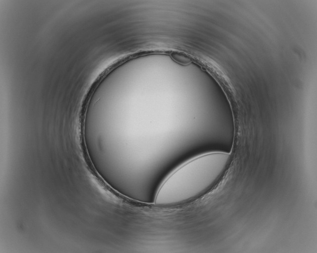 X0000112060942200908041008