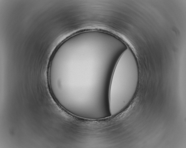 X0000112060943200908041008
