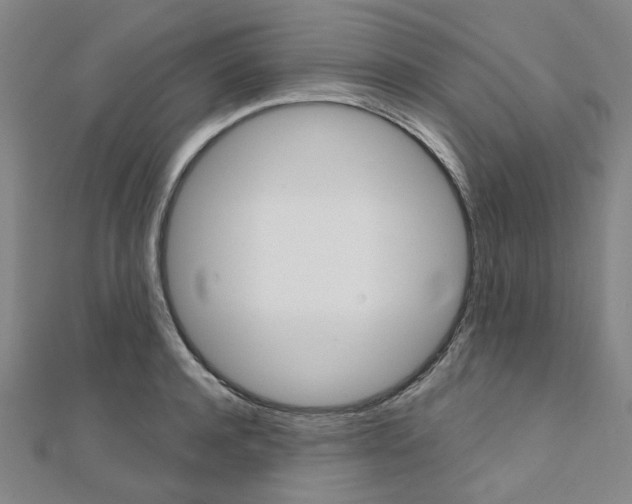 X0000112060944200908041008
