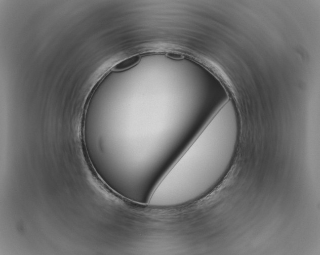 X0000112060946200908041008