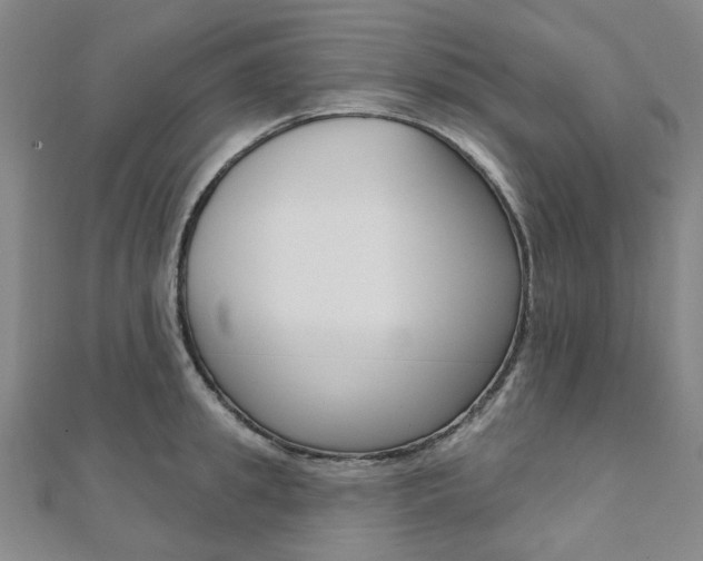 X0000112060949200908041008
