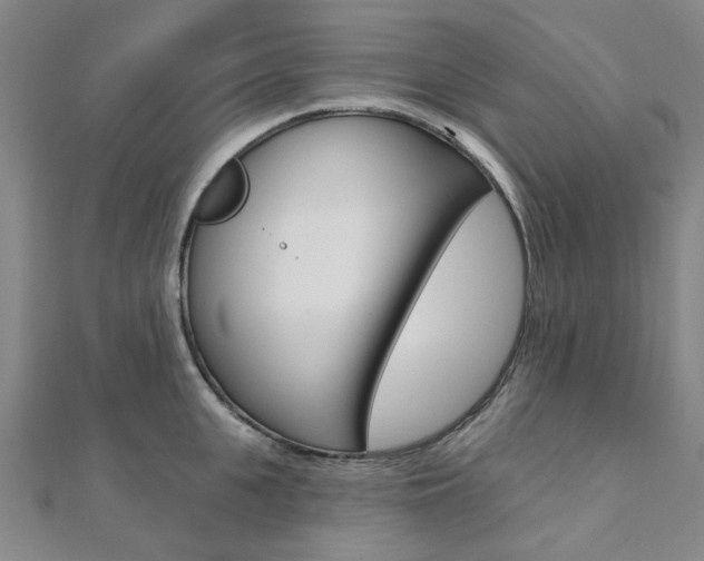 X0000112060951200908041008