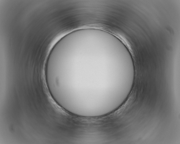 X0000112060952200908041008