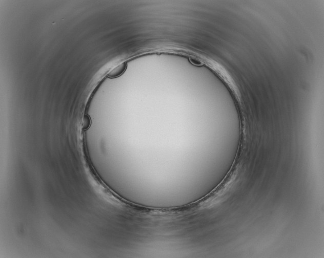 X0000112060954200908041008