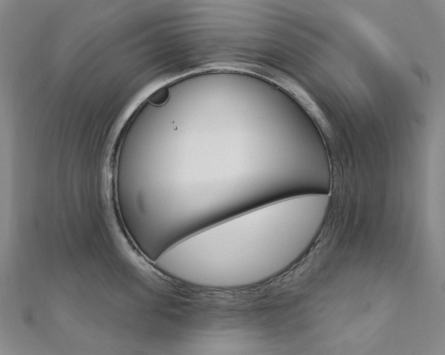 X0000112060955200908041008