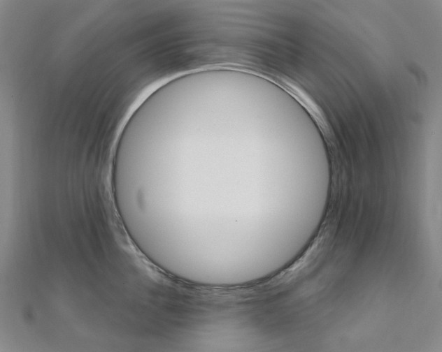X0000112060956200908041008