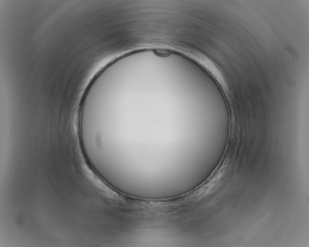 X0000112060958200908041008