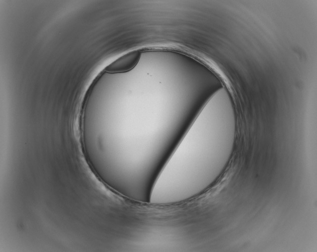 X0000112060959200908041008