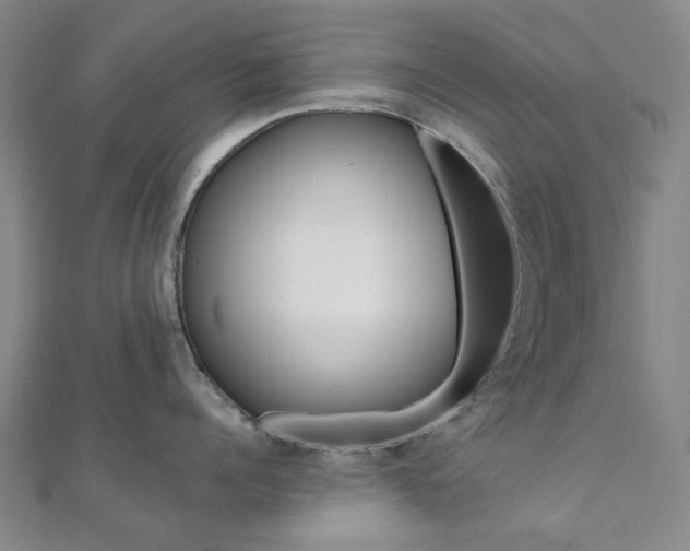 X0000112060960200908041008