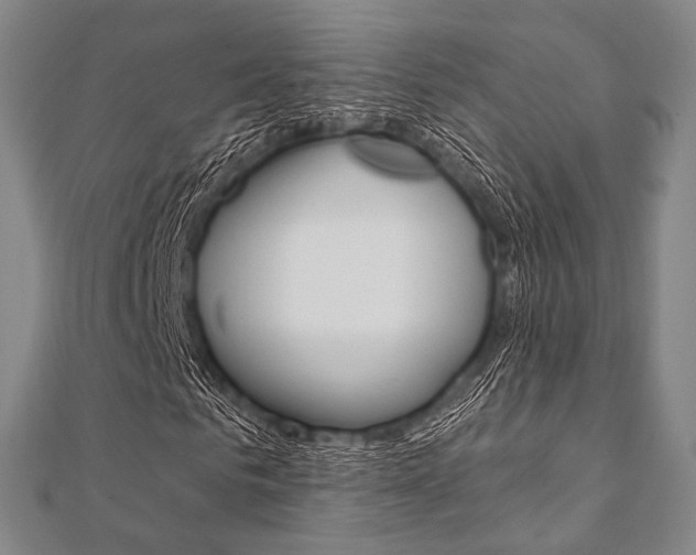 X0000112060961200908041007