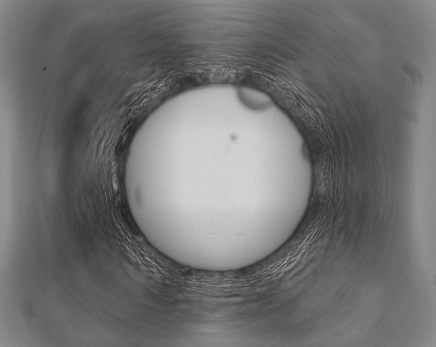 X0000112060962200908041007