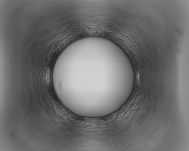 X0000112060963200908041007