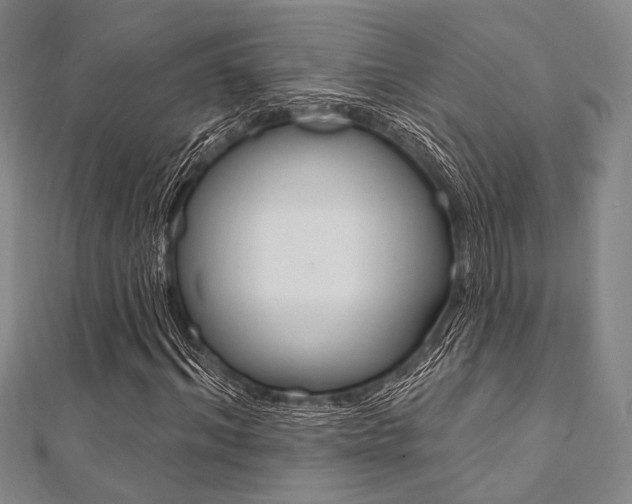 X0000112060964200908041007