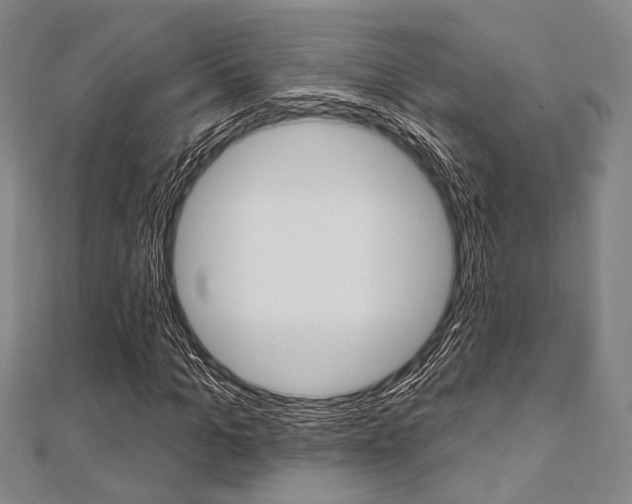 X0000112060965200908041007