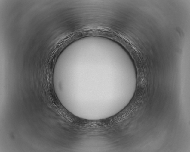 X0000112060966200908041007