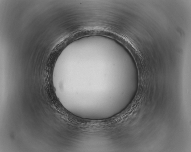 X0000112060967200908041007