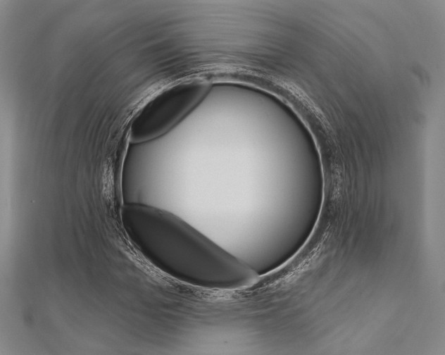 X0000112060969200908041007